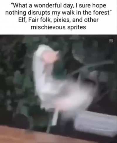 Title