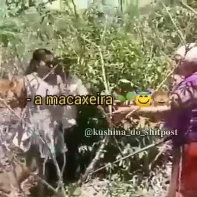 Matou o velho