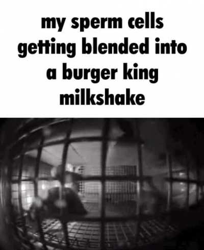 rule