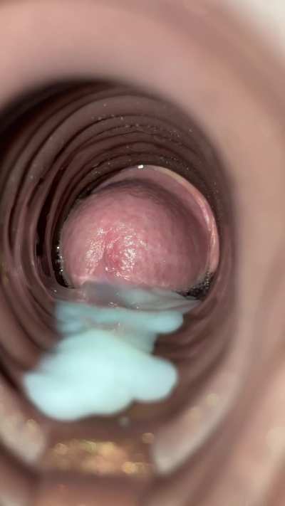 Nothing beats a cream filled ponut (Jack’s butt, WD)