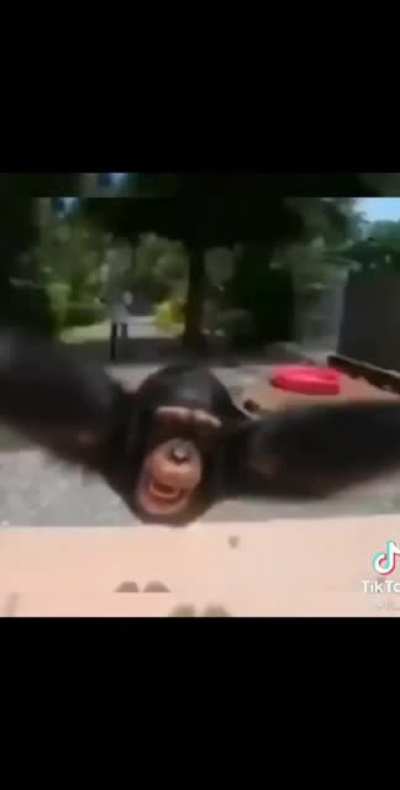Si