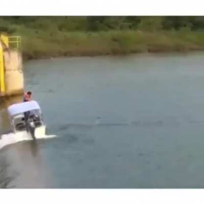 Close call