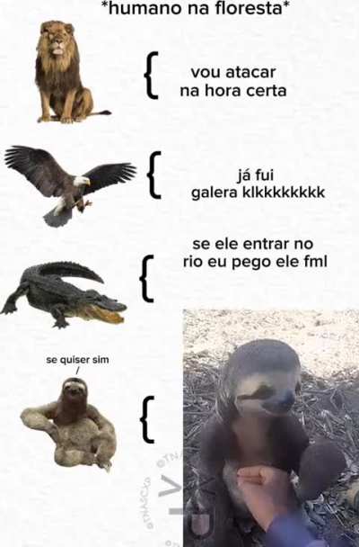 Fof 😅