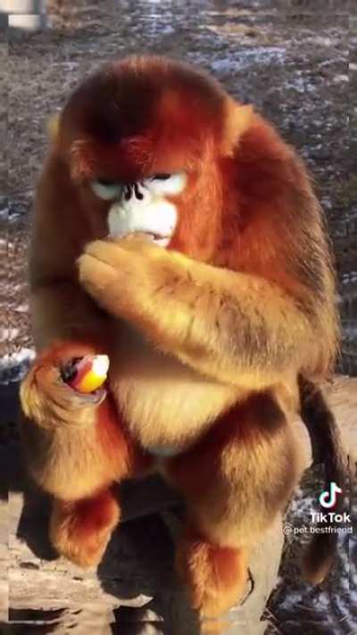 I could see myself being bff's with this fella