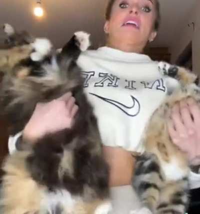 ⠀