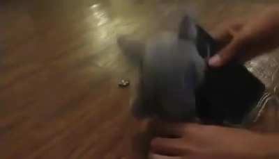 Phone call gone wrong