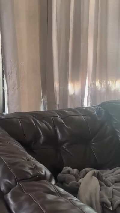I want to change the curtains.