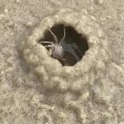 Tiny worker