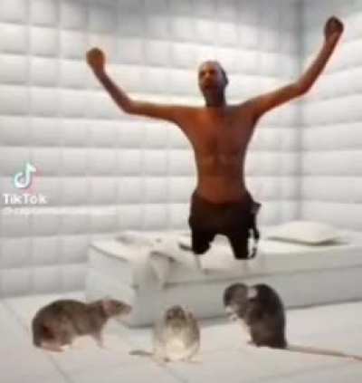 Crazy (heil spez)