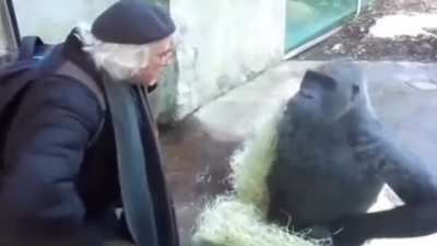 Altmer delegates laying out the terms of the white gold concordat to Titus Mede II circa 4e175