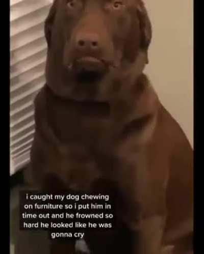 Ah yes, the case of the bad boi