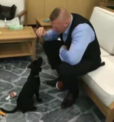 Brock Lesnar training a puppy to sit, then starts to eat the puppy's treats himself.