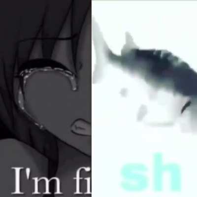 I'm Fish 🐟