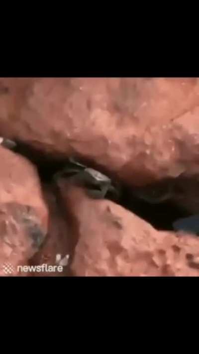 monkaW