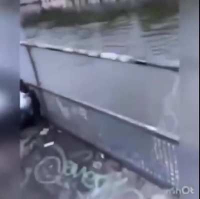 Stupidity at it’s best