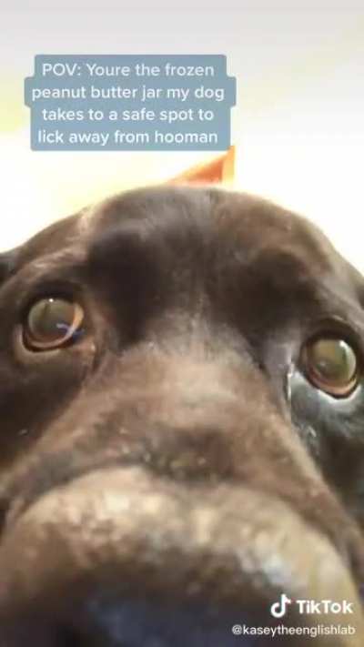 Best POV