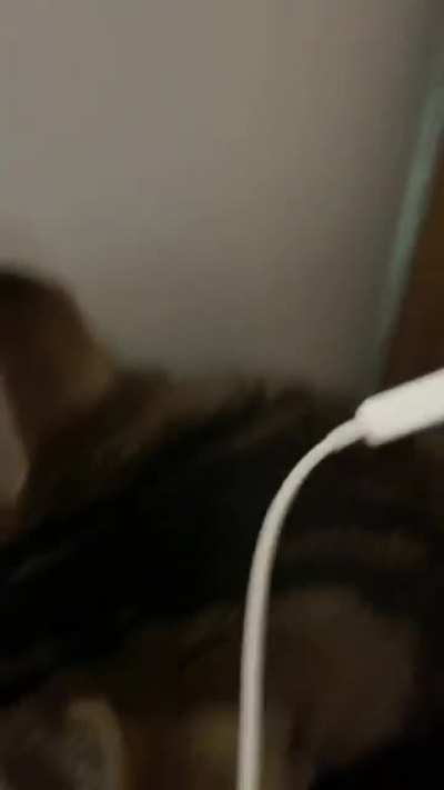 Perfectly cut MEO-