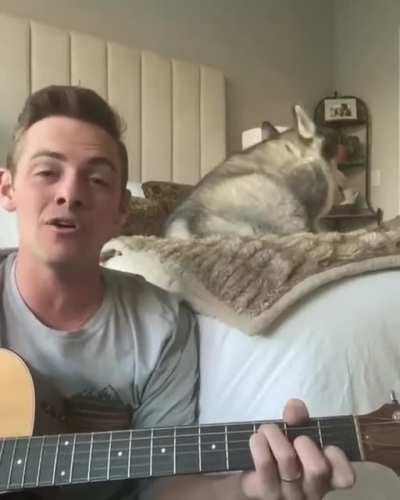 Listen to me, let's make a band. You will play the guitar, and let me take care of the singing part hát