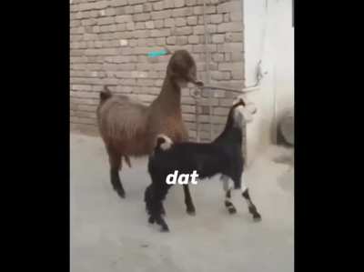 we postin dat gif