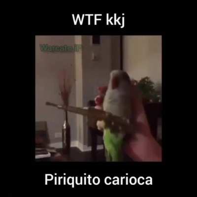 piu piu piu