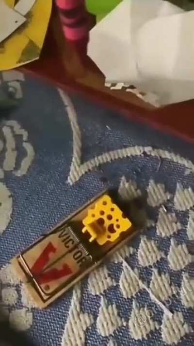 Ra-