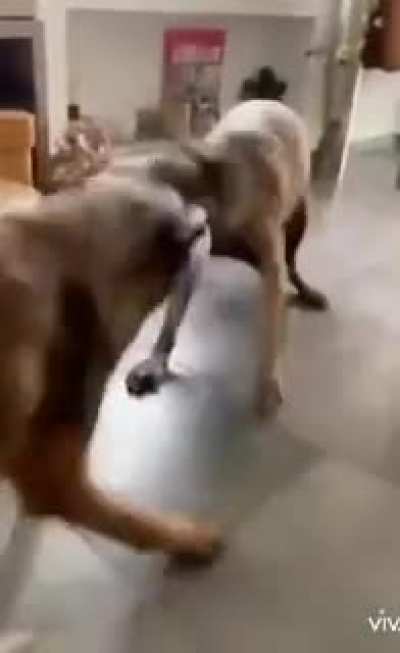 Wait for it....