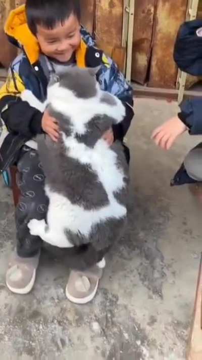 Chonky boy.