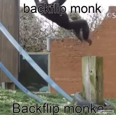MOnke😂😔😊😁😩😒😄😂😂😂