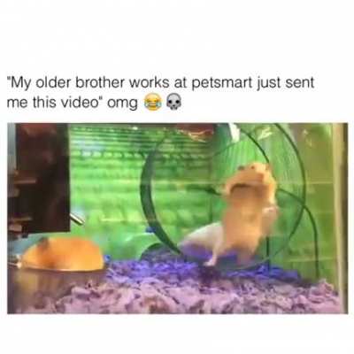 OMG!!!!!!!!!!!