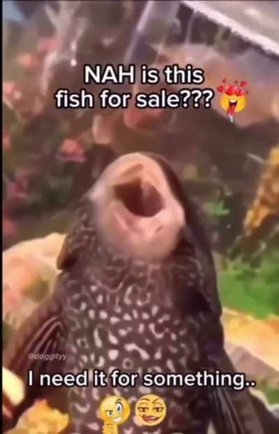 I neeeeeed iiit