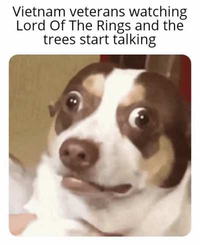 Fortunate son intensifies