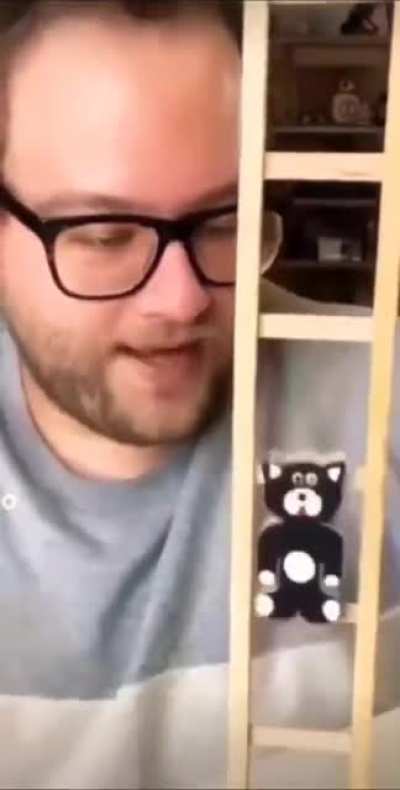 Cats always stick the...