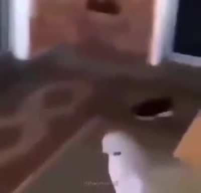 Just a cute dog and bird <3