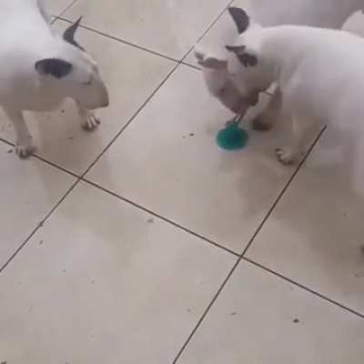 vacuum is stronger