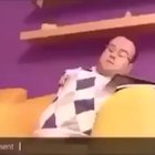 No caption needed