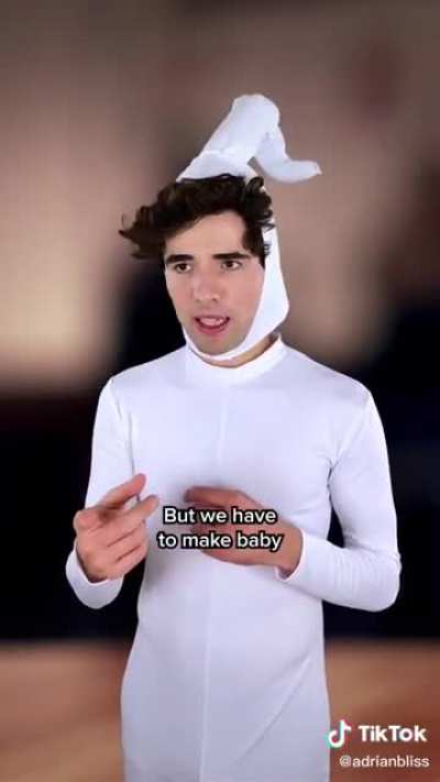 The sperm and the egg