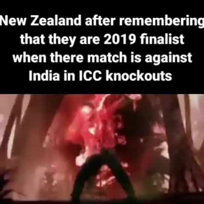 Kiwis 