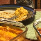My favorite clip of our cat