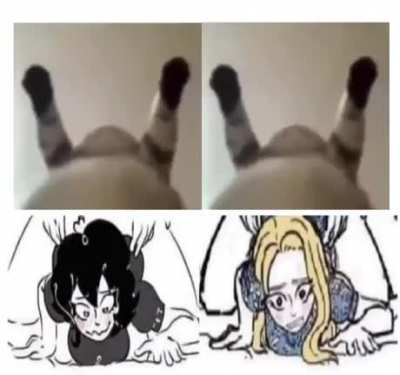 XD