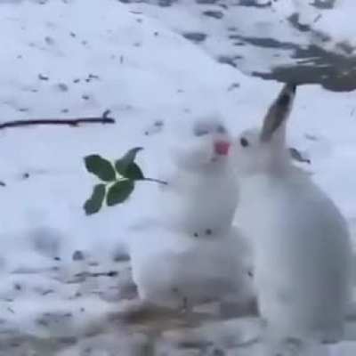 The rabbit who sees the carrot in the snowman