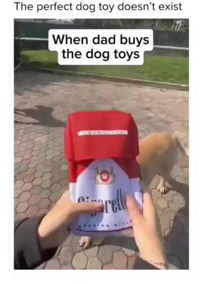 Nice toy