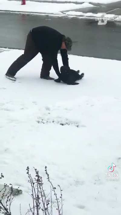 How to train your penguin