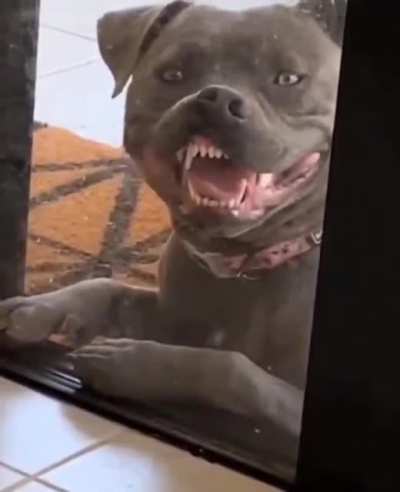 Am I doing this smile thing right?