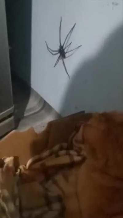 Maybe maybe maybe
