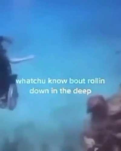 Wachunou