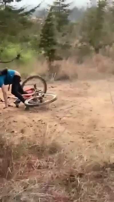 Your head is safe, but your ass isn’t.