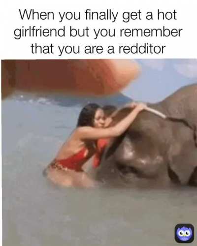 Elephant is with us!!