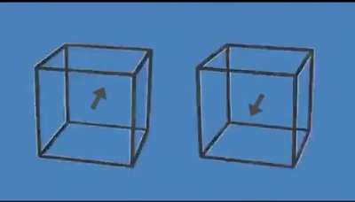 The cubes are not moving