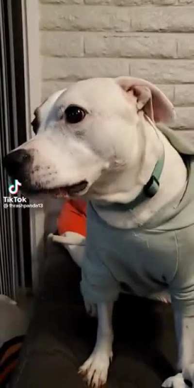 That look almost always means trouble