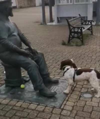 Dog wants to play